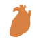 Vasculaire